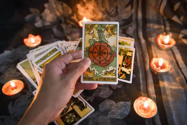 tarot cards Lodi